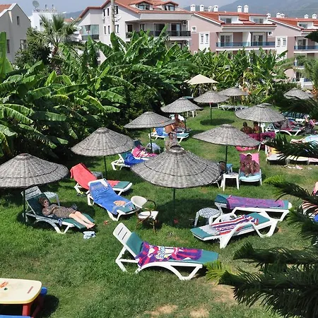 Sayar 말마리스